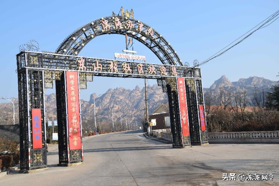 庭院有大树好不好 有大树的地方是不是风水宝地