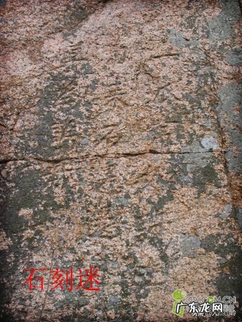 庭院有大树好不好 有大树的地方是不是风水宝地