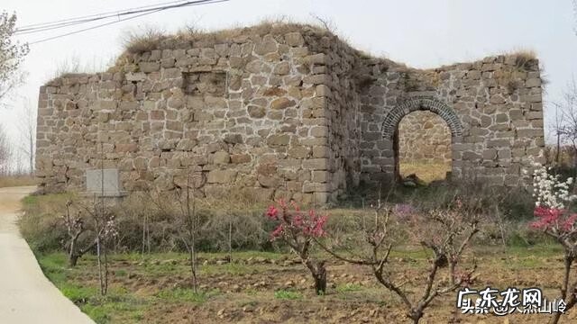 庭院有大树好不好 有大树的地方是不是风水宝地