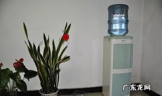 饮水机的摆放位置 饮水机颜色风水