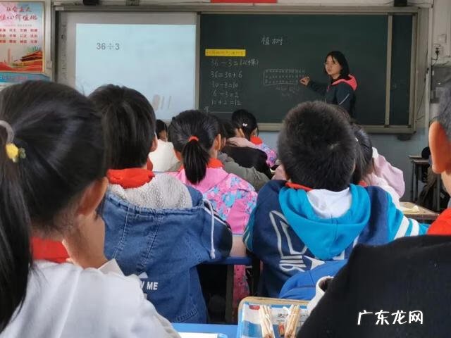 小学数学课怎么评课 小学数学评课标准