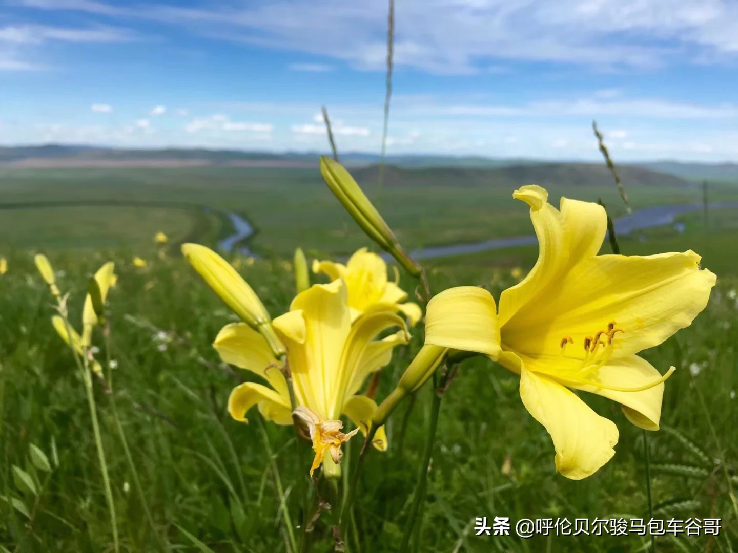 只有2000块钱可以去哪些地方旅游,又能玩的开心?