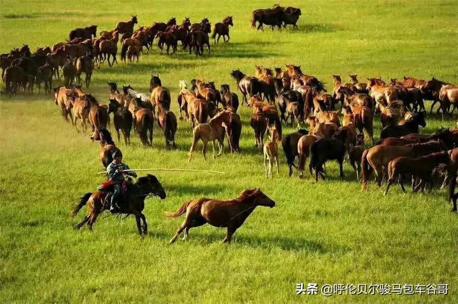 只有2000块钱可以去哪些地方旅游,又能玩的开心?