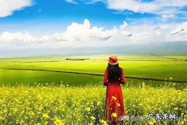 只有2000块钱可以去哪些地方旅游,又能玩的开心?