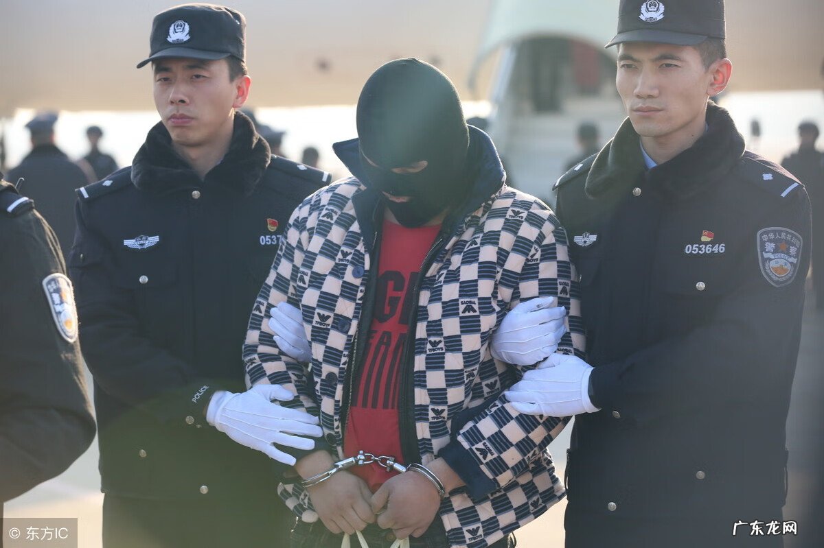 缇丽莎尔被国家认可吗 缇丽莎尔是正规公司吗