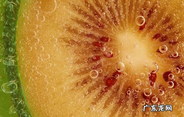 红心猕猴桃苗 红心猕猴桃的功效与作用