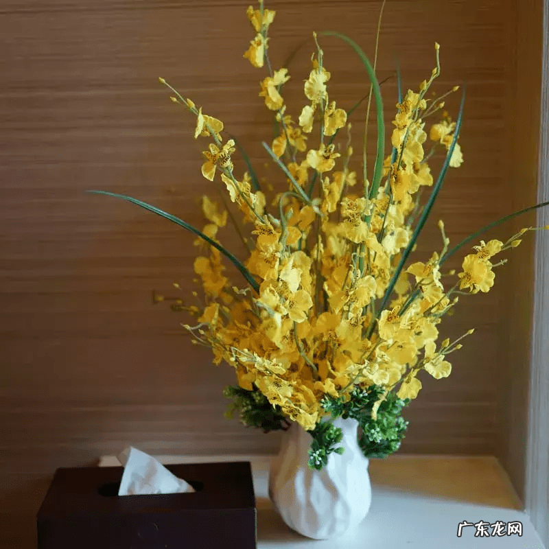 八卦风水布局 八卦风水就行