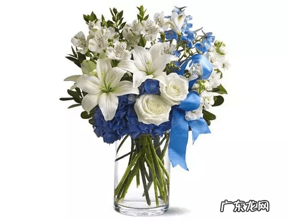 八卦风水布局 八卦风水就行