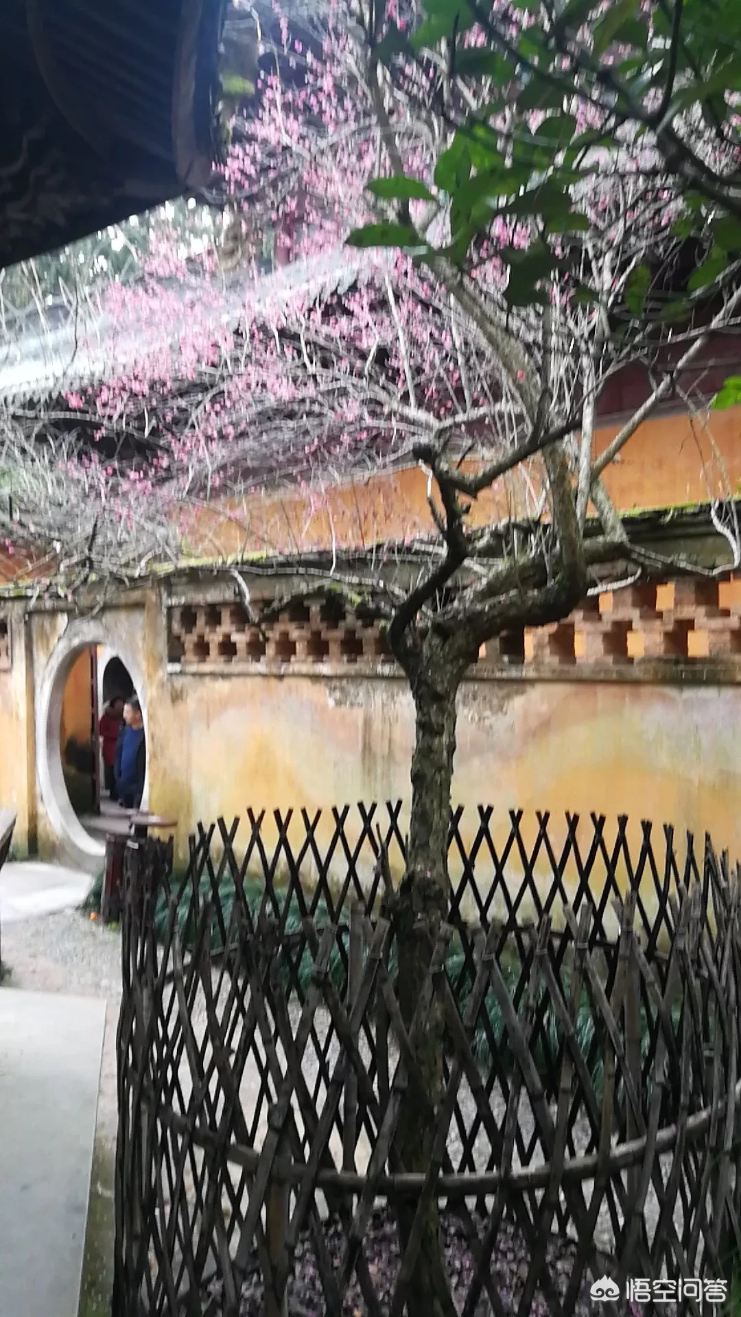 你手机里存的哪首歌一直不舍得删？里面有什么故事吗？