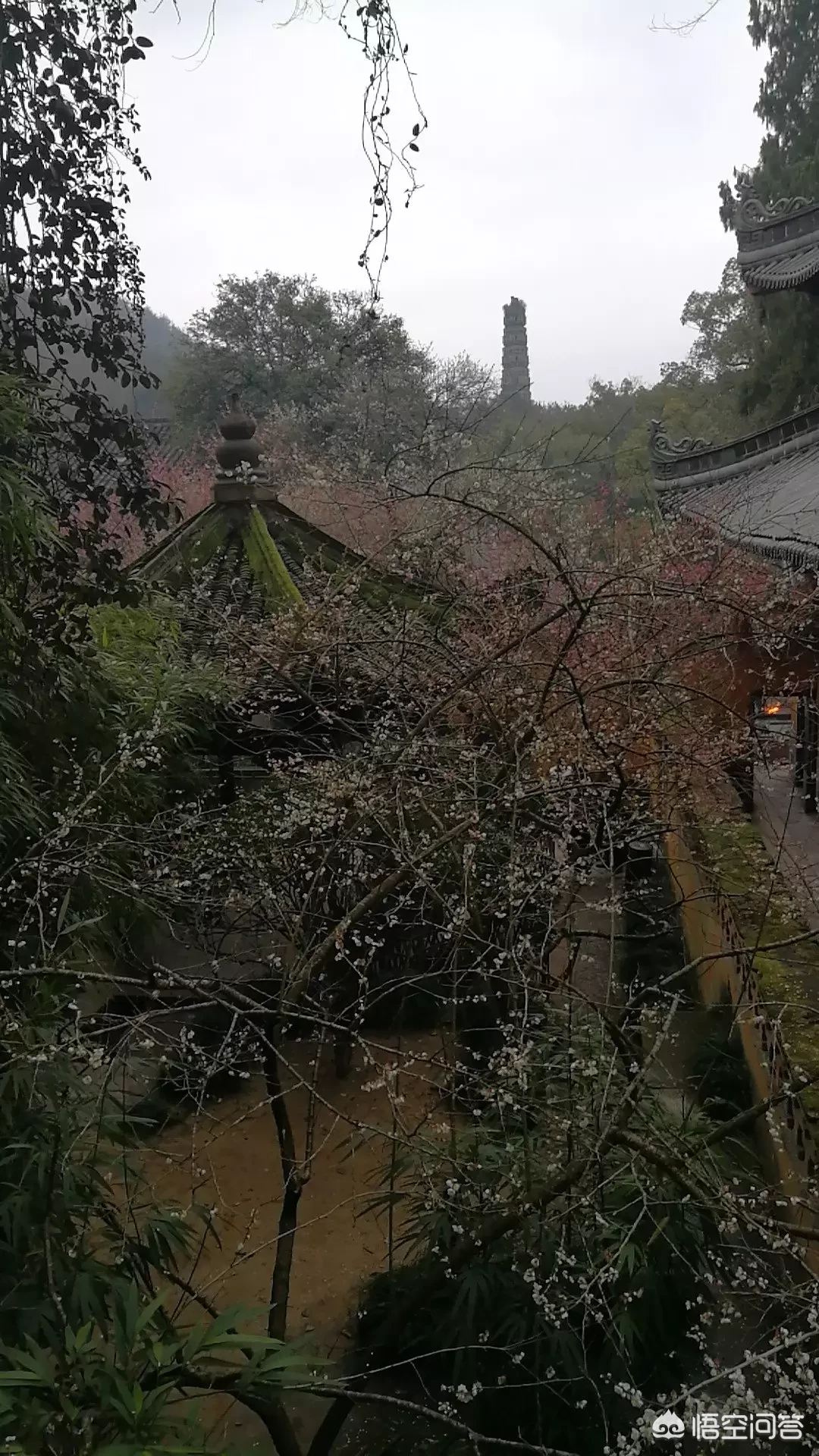 你手机里存的哪首歌一直不舍得删？里面有什么故事吗？