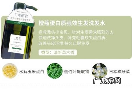 彩虹岛黄金守护星座4需要什么石头 橙蔻蛋白质洗发水怎么样刺激性怎么样