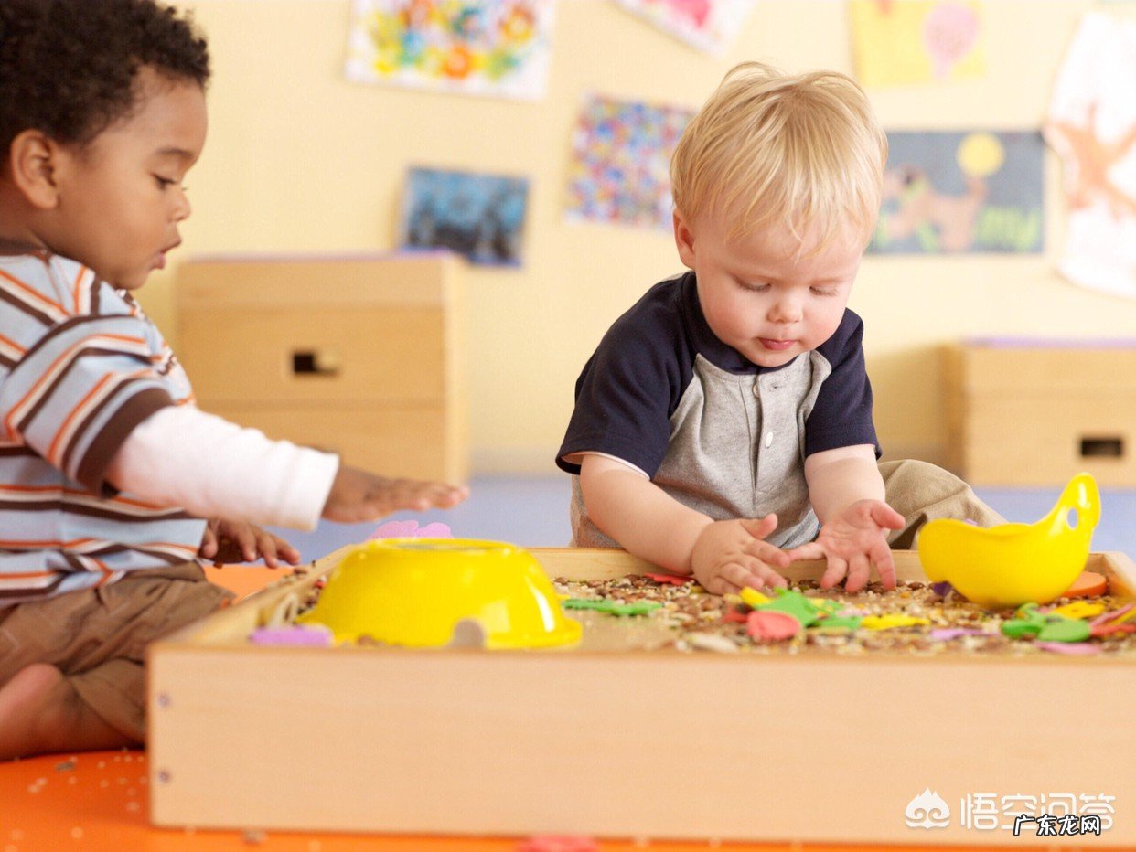 孩子到底需不需要早期教育？