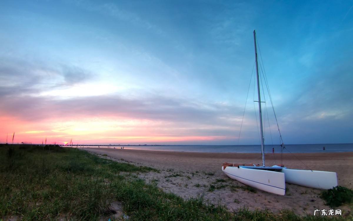 属马的注定劳碌吗？