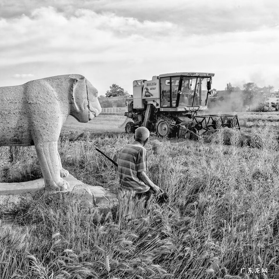 富平唐简陵 唐祖陵风水