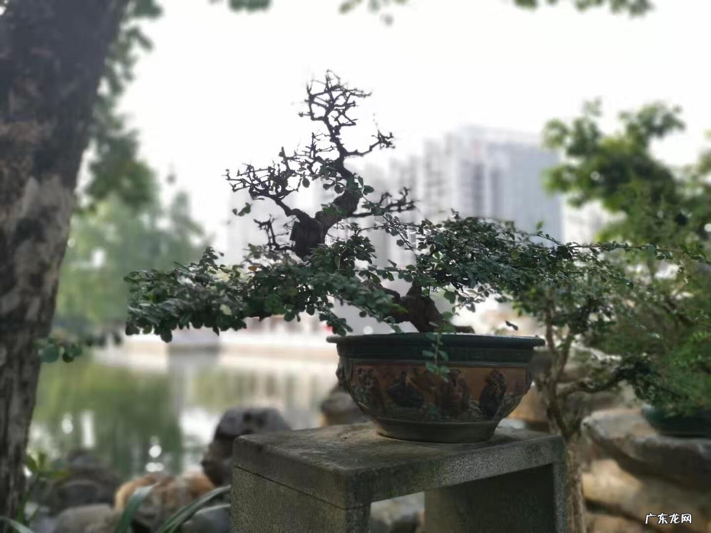 风水中天井指什么