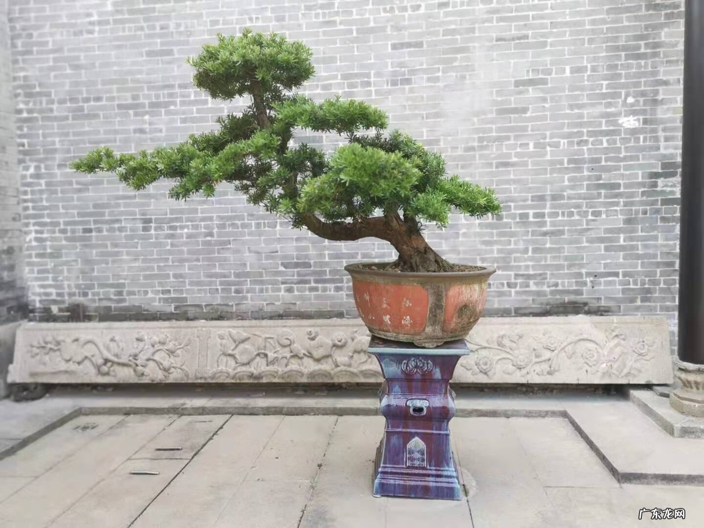 风水中天井指什么