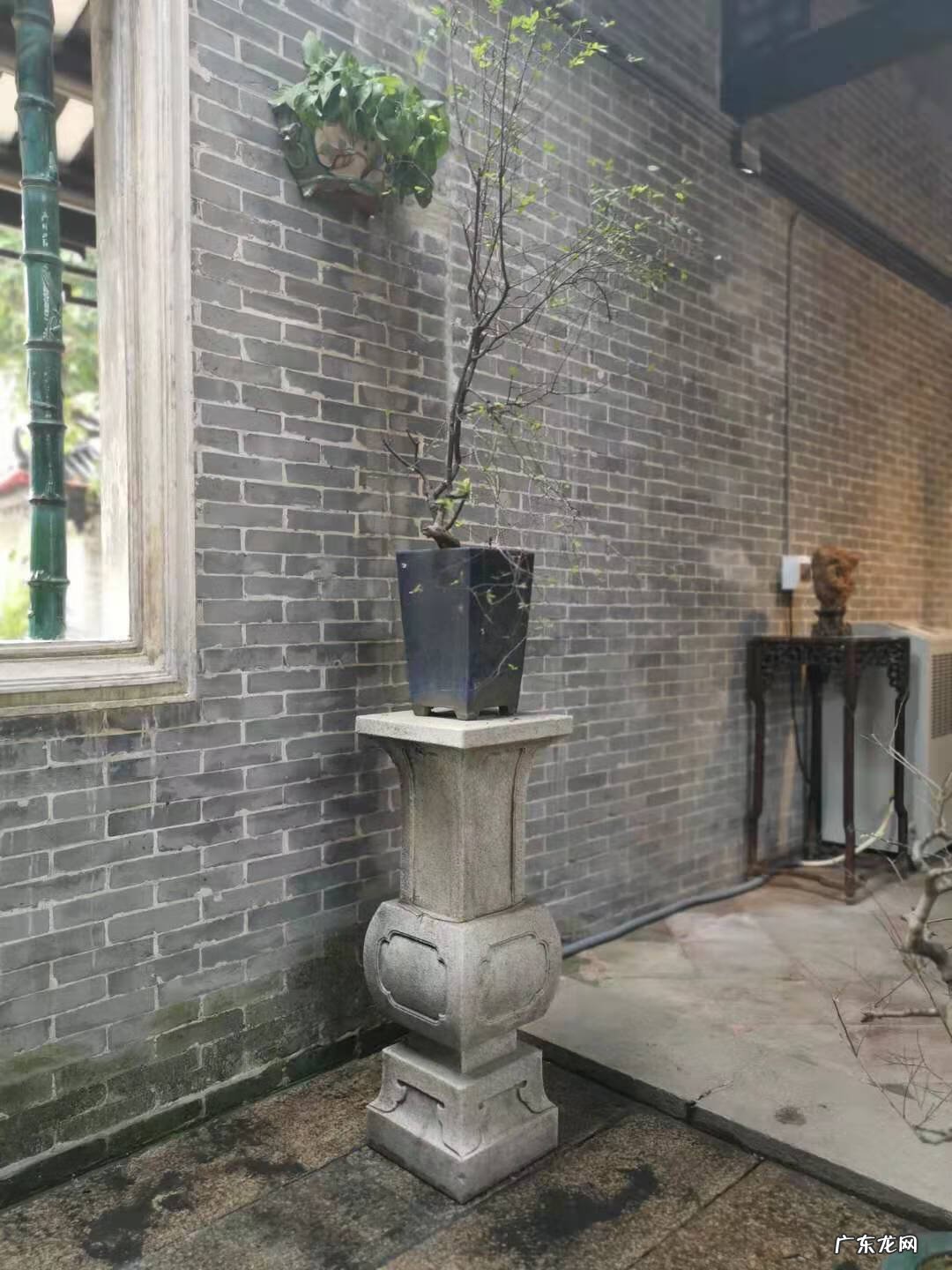 风水中天井指什么