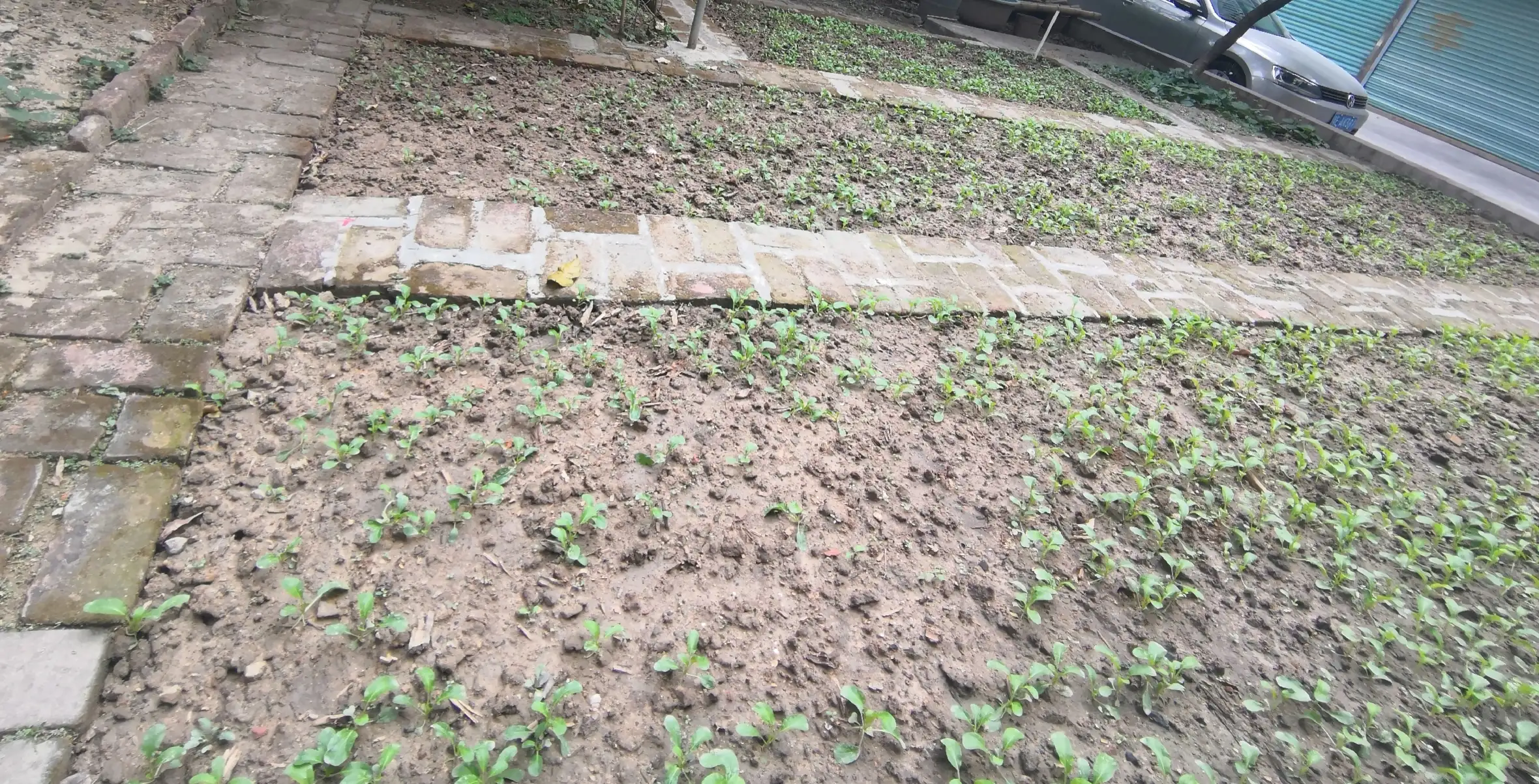 多个行业“裁员”,百万农民工将返乡?你能做什么来赚钱?