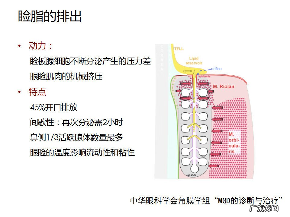 眼睑炎症的症状 眼睑炎怎么引起的