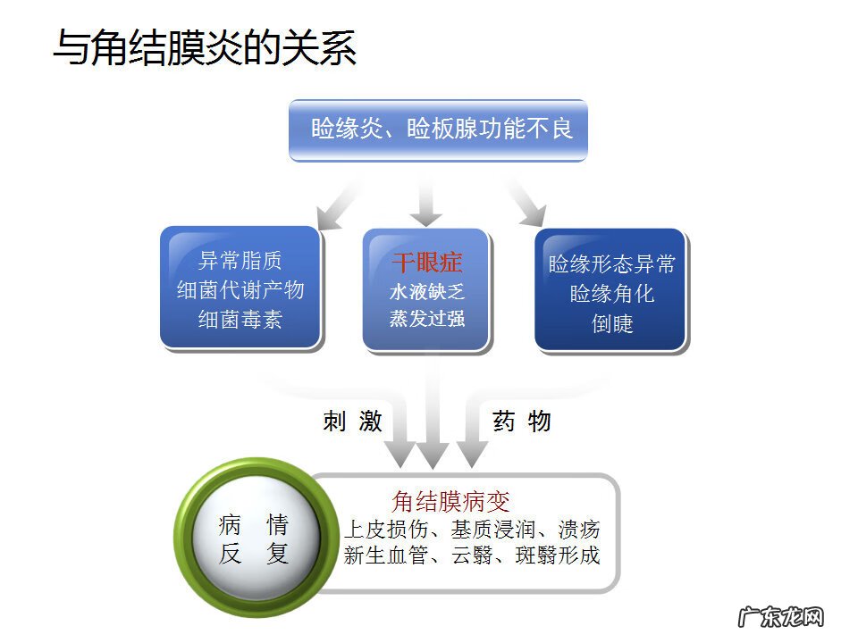 眼睑炎症的症状 眼睑炎怎么引起的