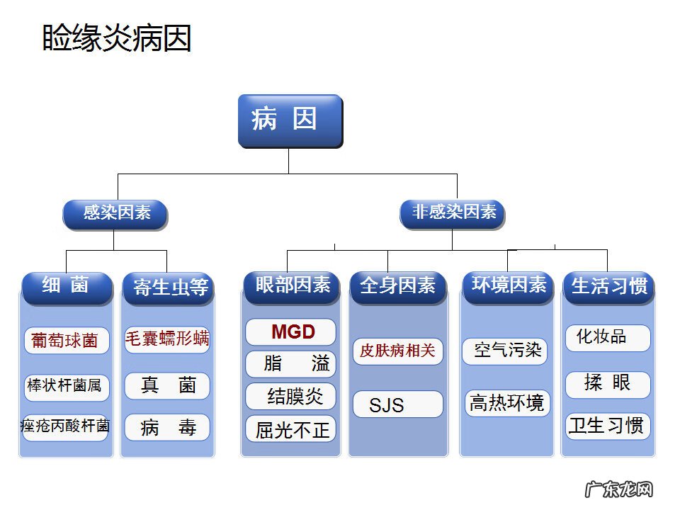 眼睑炎症的症状 眼睑炎怎么引起的