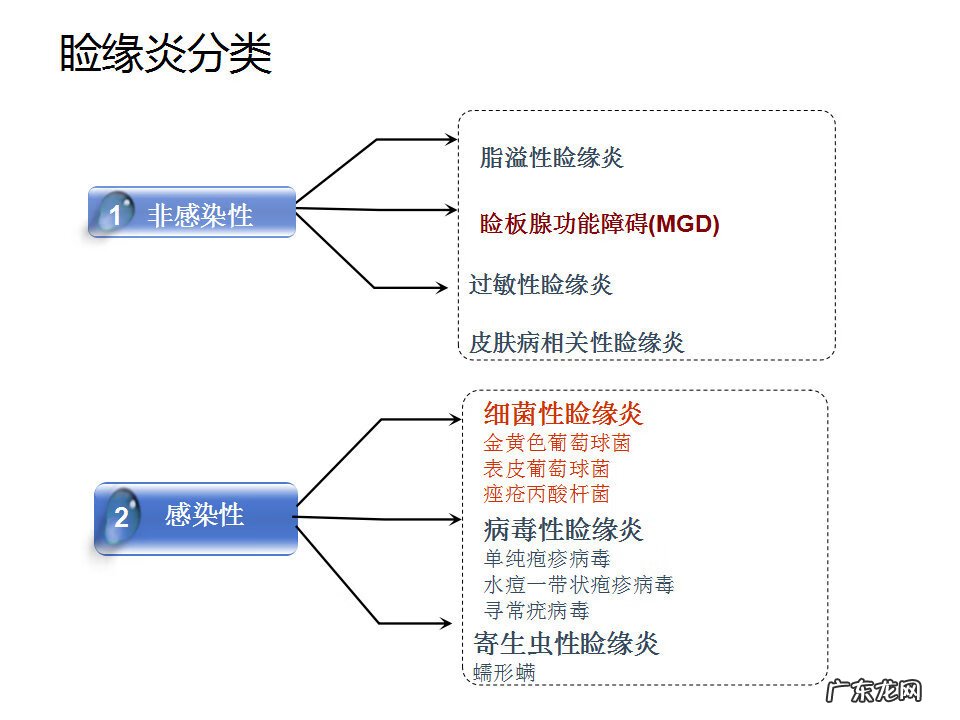 眼睑炎症的症状 眼睑炎怎么引起的