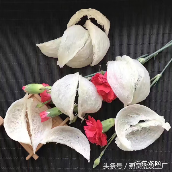 孕妇吃燕窝的好处和功效