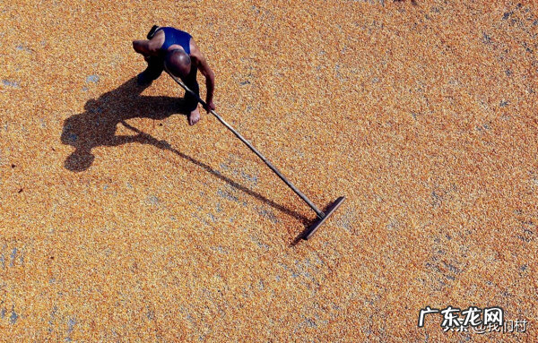 农村风水看大门口 农村地坝风水