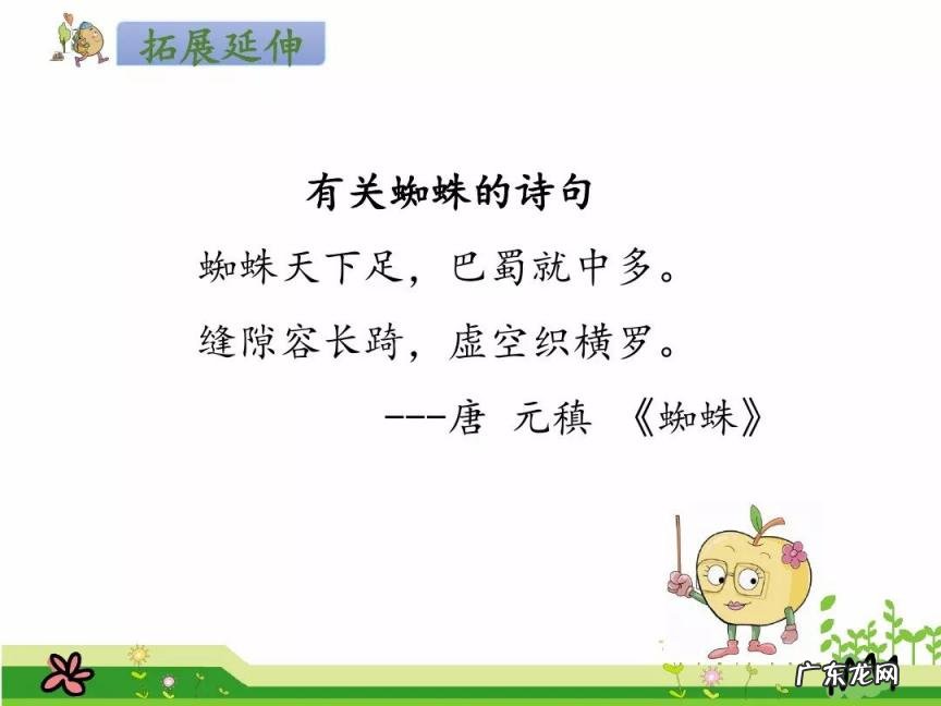 组词蛛组词蛛组词 蛛组词有哪些