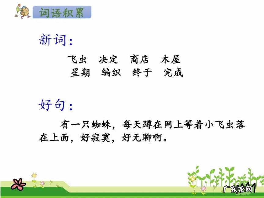 组词蛛组词蛛组词 蛛组词有哪些