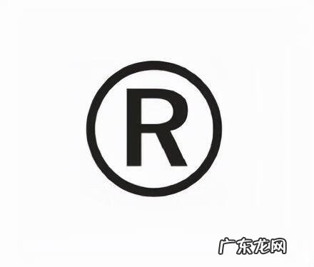 收入支出费用 R&D经费支出