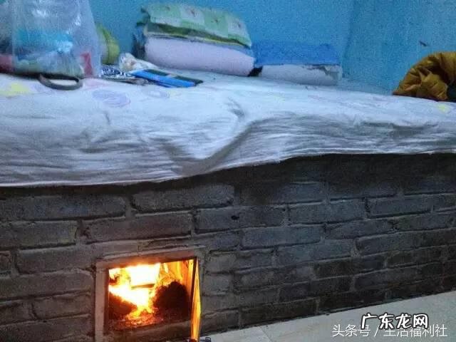 小懒猫的故事 小懒猫是什么意思