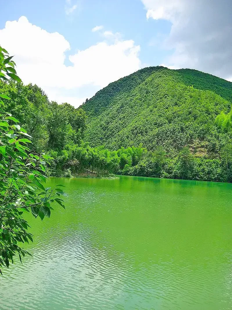 你知道生肖龙是怎样的人？