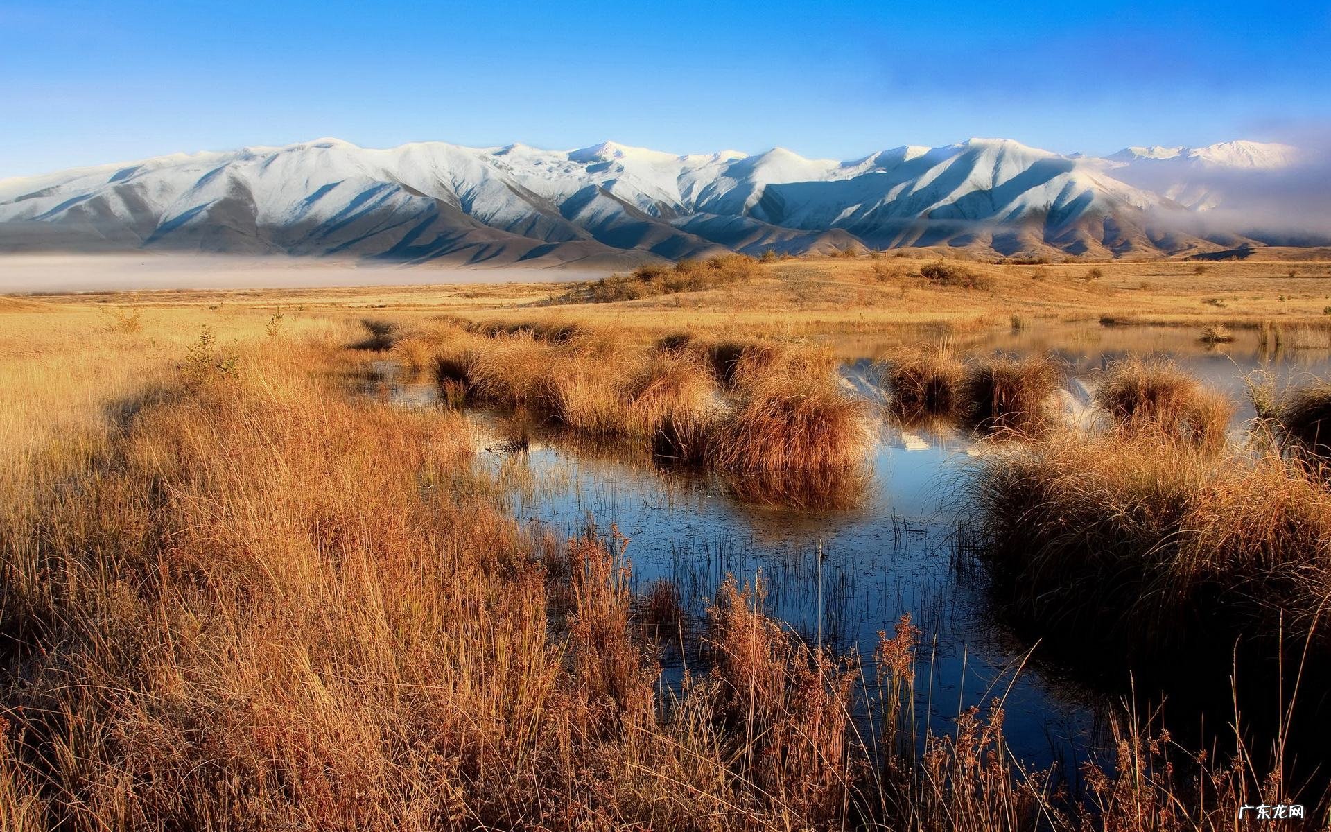 哪些生肖最爱钻牛角尖?