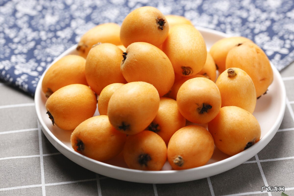 农村老人喜欢收集枇杷花,枇杷花有什么作用呢?