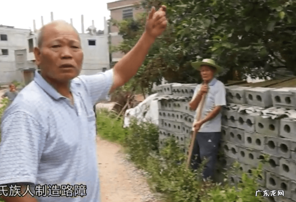 广西镇龙山风水故事 广西林家宗庙风水