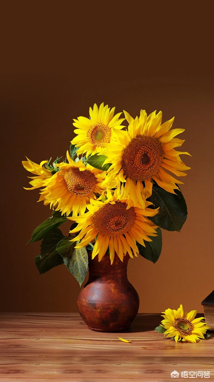 在学校的学生怎样减肥?