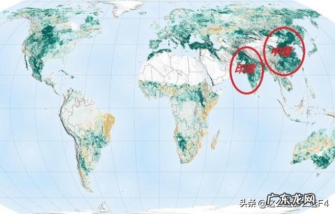 原始森林里的瘴气,主要化学成分是什么?如何产生的?