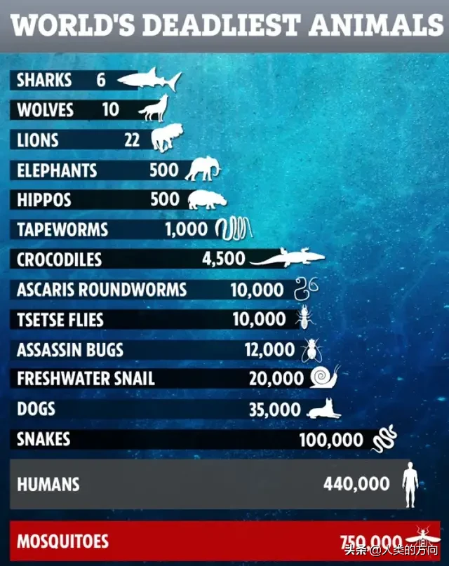 原始森林里的瘴气,主要化学成分是什么?如何产生的?