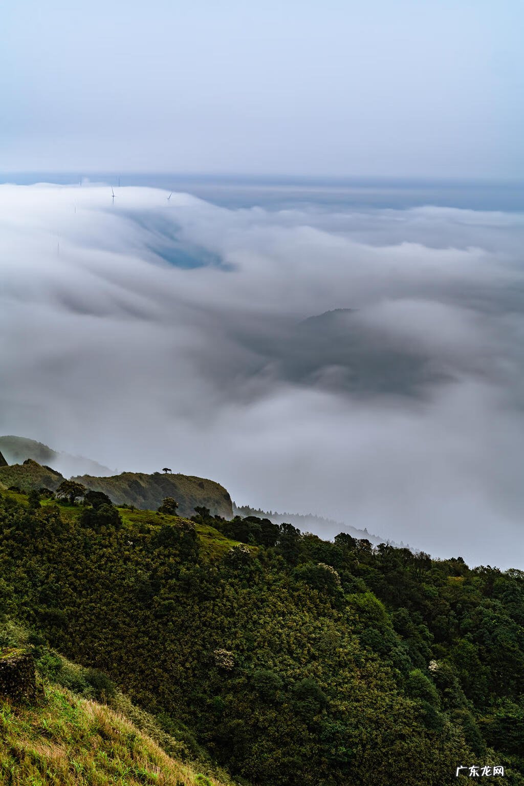 大容山图片 大容山风景图片