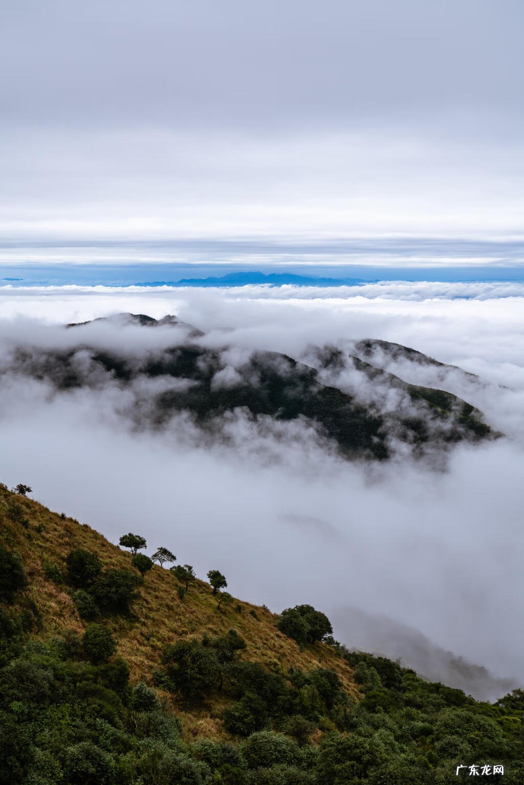 大容山图片 大容山风景图片