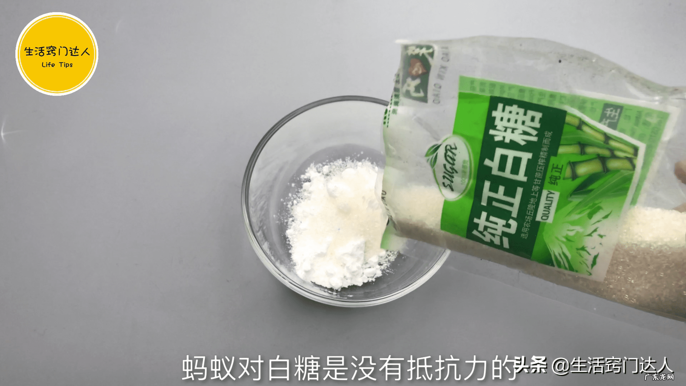 厨房餐桌怎么放风水好 桌子上为什么招蚂蚁