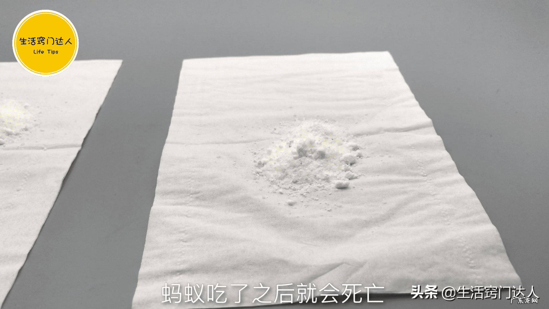 厨房餐桌怎么放风水好 桌子上为什么招蚂蚁