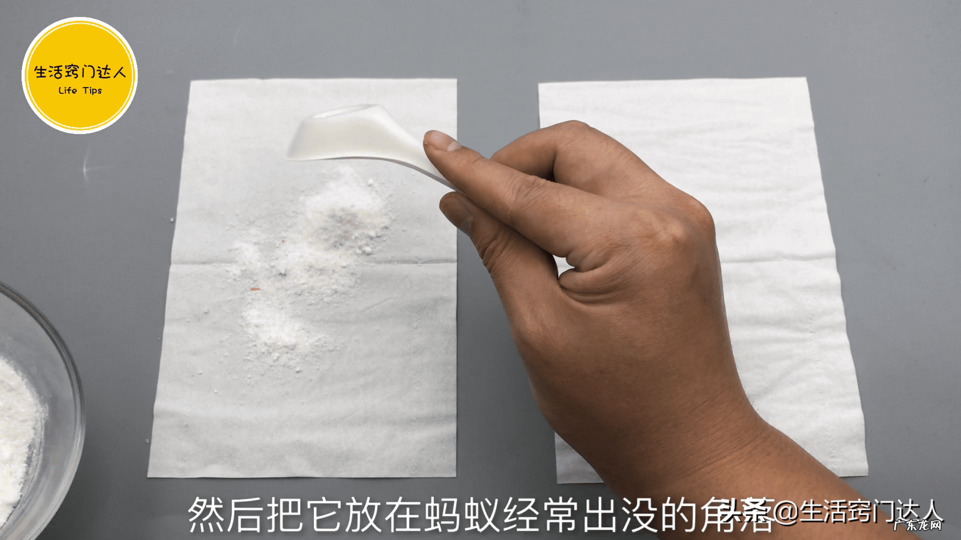 厨房餐桌怎么放风水好 桌子上为什么招蚂蚁