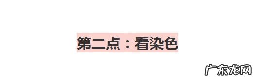 几块钱一件的衣服批发 服装批发5元到15元