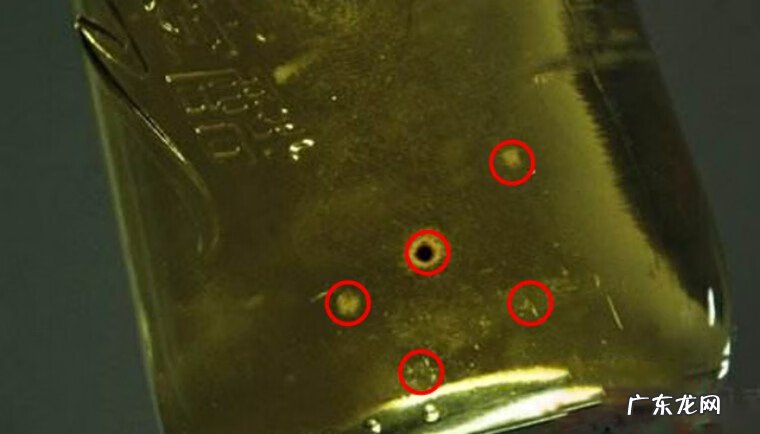 每次喝啤酒都拉肚子 喝啤酒会拉肚子嘛