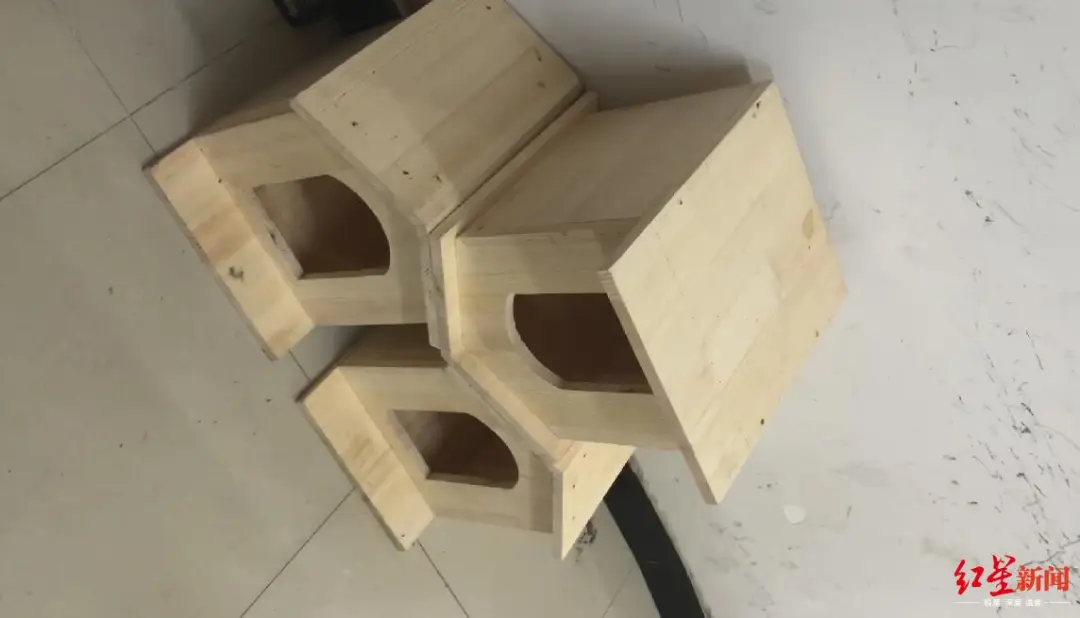 拆喜鹊窝好不好 拆了喜鹊巢有什么后果