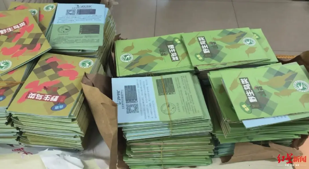 拆喜鹊窝好不好 拆了喜鹊巢有什么后果