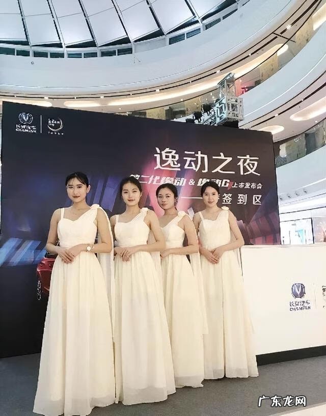 迎新晚会礼仪主持 礼仪主持人