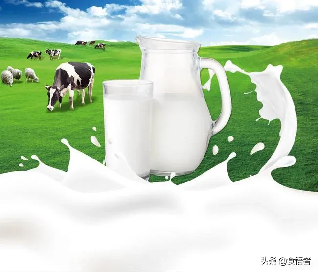 市面上什么牛奶最有营养,有利于健康?